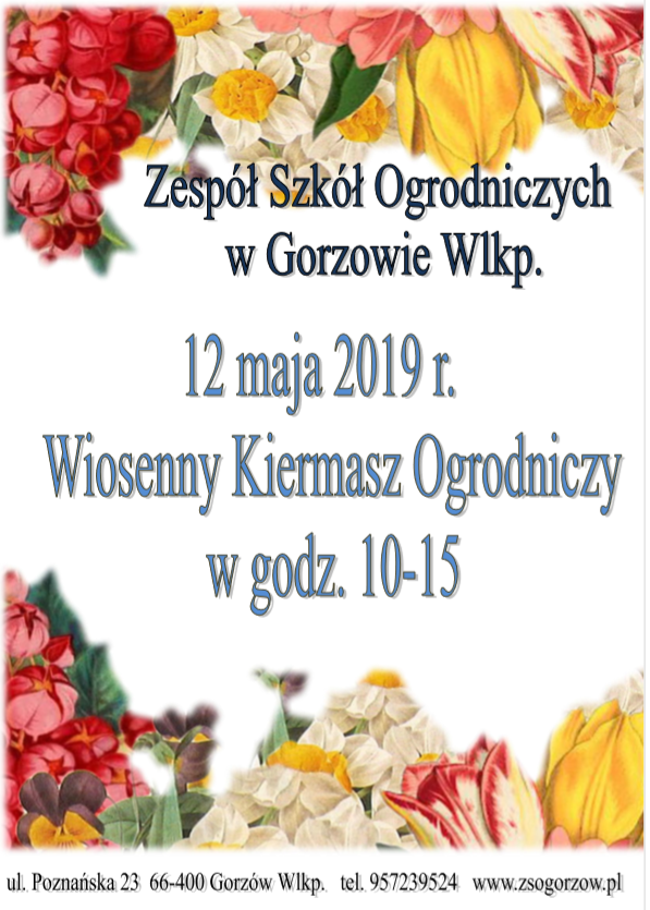 plakat